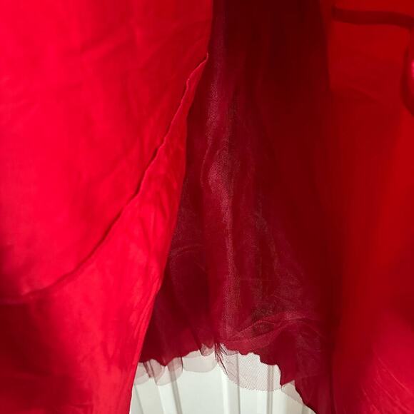 Reformation Buttercup Dress Strapless A-Line Tulle Skirt Red Size 8 - Picture 6 of 10